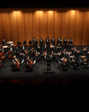 Mozart Piano Trio Brevard