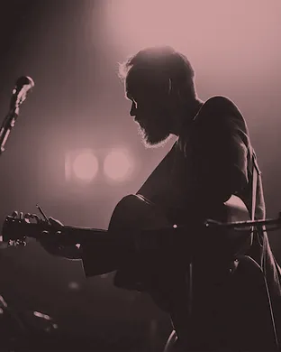 Andrew Peterson