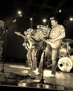 Artimus Pyle Band Newberry