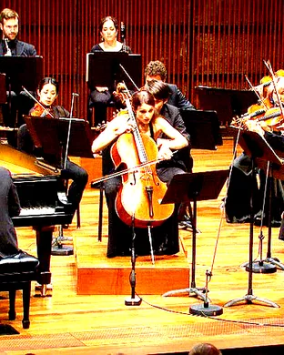 Beethoven Greenville