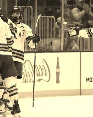 Boston College Eagles Chestnut Hill