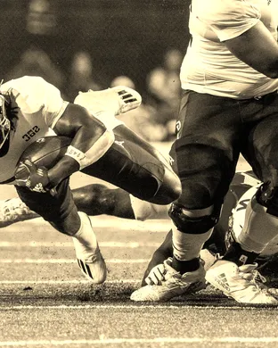 Georgia Southern Eagles Clemson