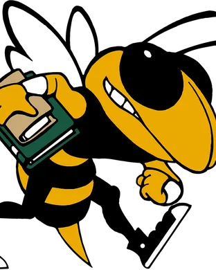 Georgia Tech Yellow Jackets Clemson