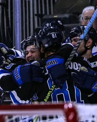 Jacksonville Icemen Greenville