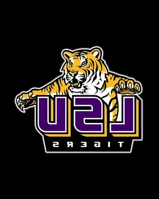 LSU Tigers vs. Clemson Tigers