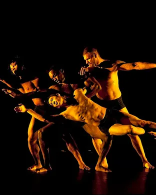 Pilobolus