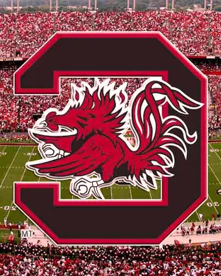South Carolina Gamecocks Football Clemson