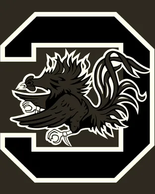 South Carolina Gamecocks Clemson