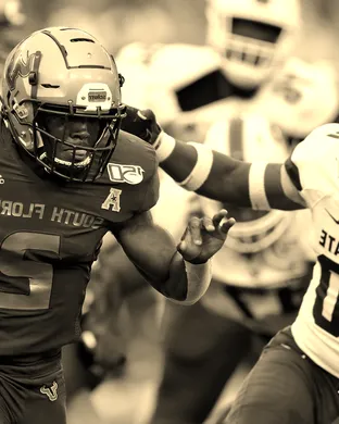 South Carolina State Bulldogs Football Greenville