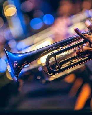 Tuba Skinny Newberry