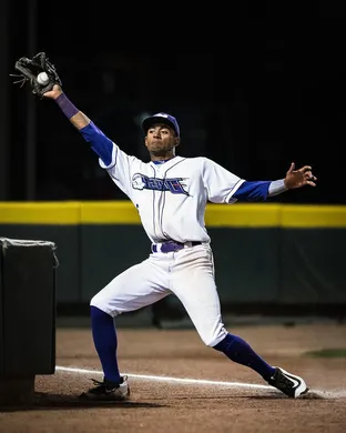 Winston-salem Dash Greenville